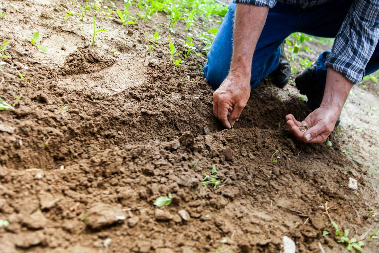 Jardinage sans se salir les mains