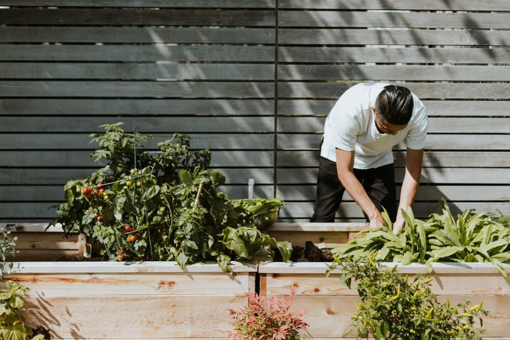 Potager carré